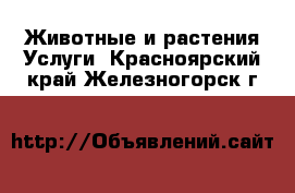 Животные и растения Услуги. Красноярский край,Железногорск г.